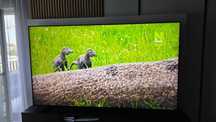 Prawie Nowy Telewizor TCL 98 X955 Okazja!!!