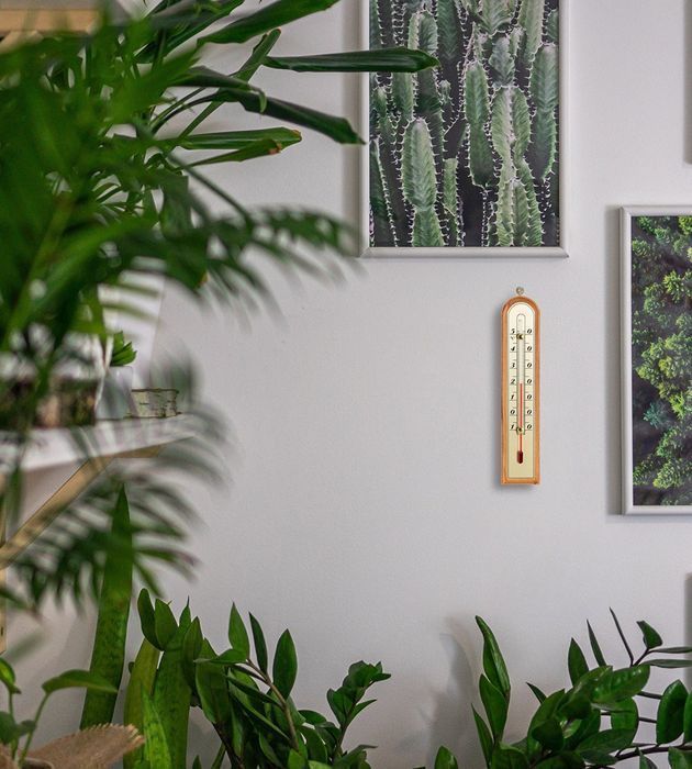 Termometr Pokojowy Skala -15 Do +50°C Bioterm