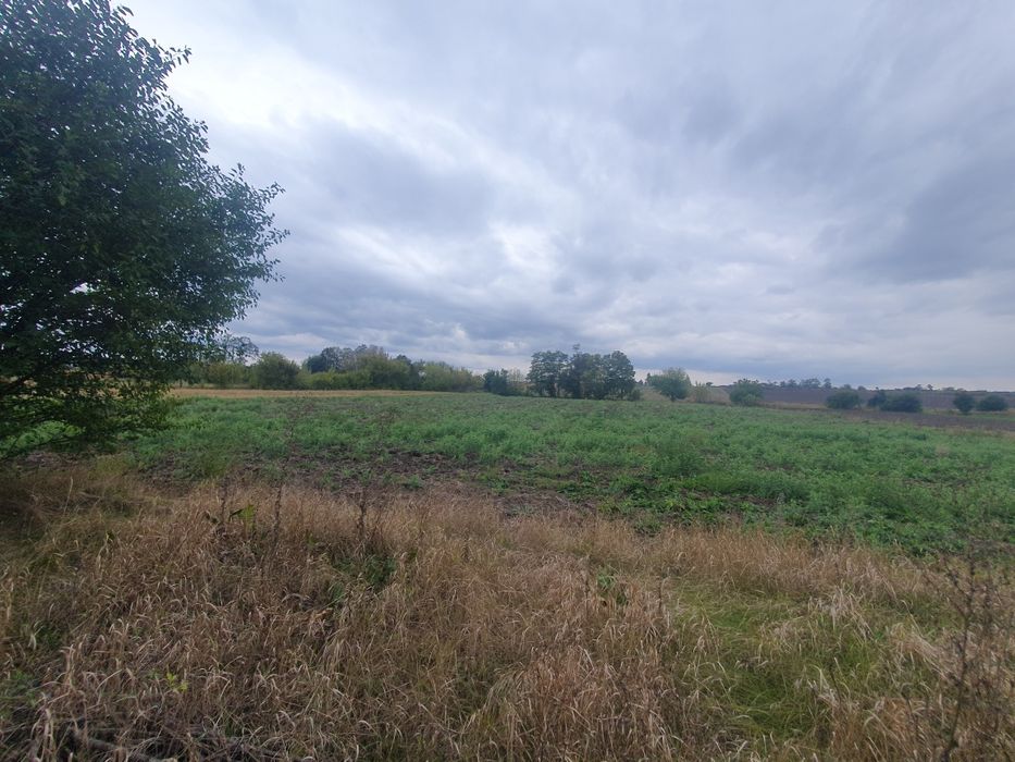 Будинок з земельною ділянкою, в с.Нова Пустоварівка.