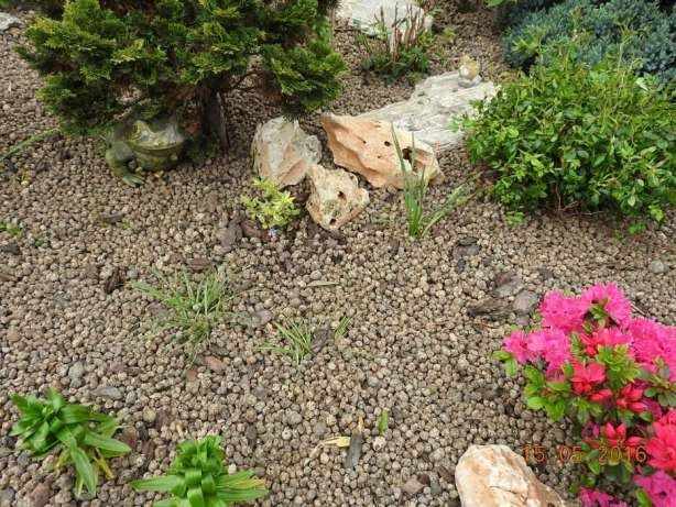 Keramzyt - materiał do zastosowania w ogrodnictwie i uprawie roślin