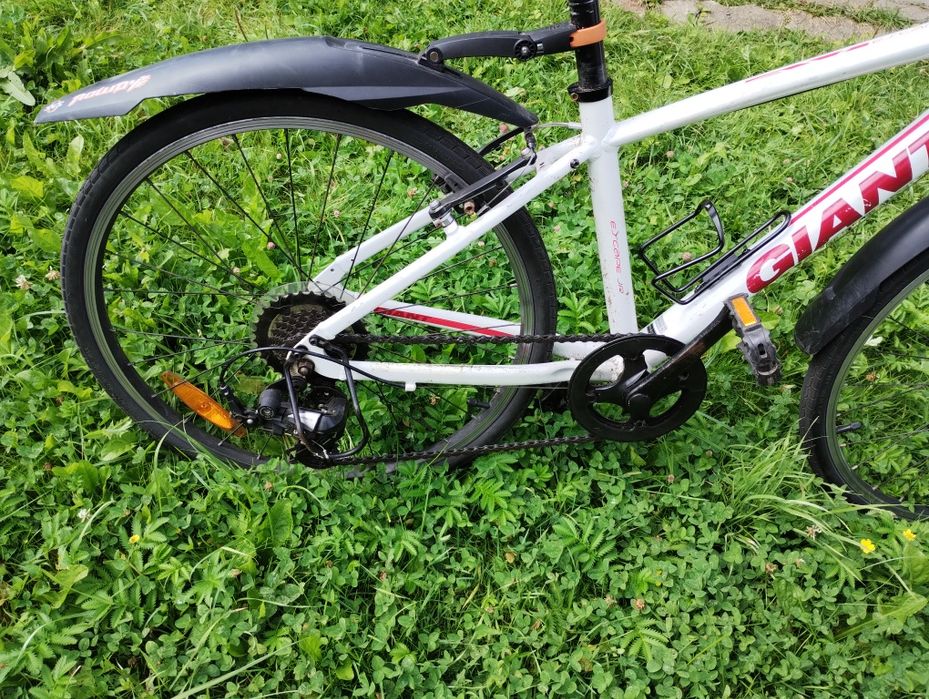 Rower GIANT ESCAPE JUNIOR na kołach 24" - rama aluminium - Shimano 1x7