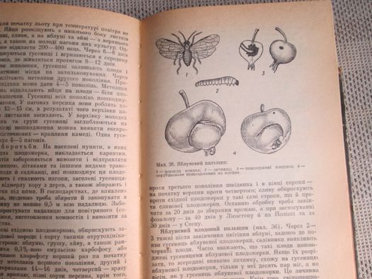 Книга "Колективні і присадибні сади" 1980 р.