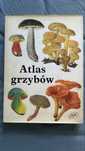 Atlas Grzybow album