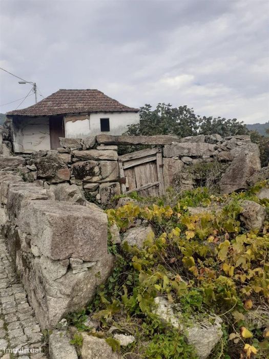 Terreno, Penafiel, Luzim e Vila Cova