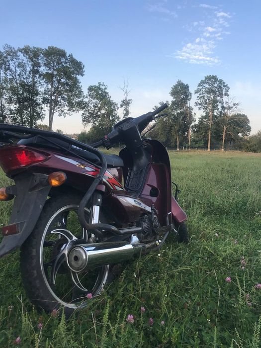 Продам Mustang aktive110