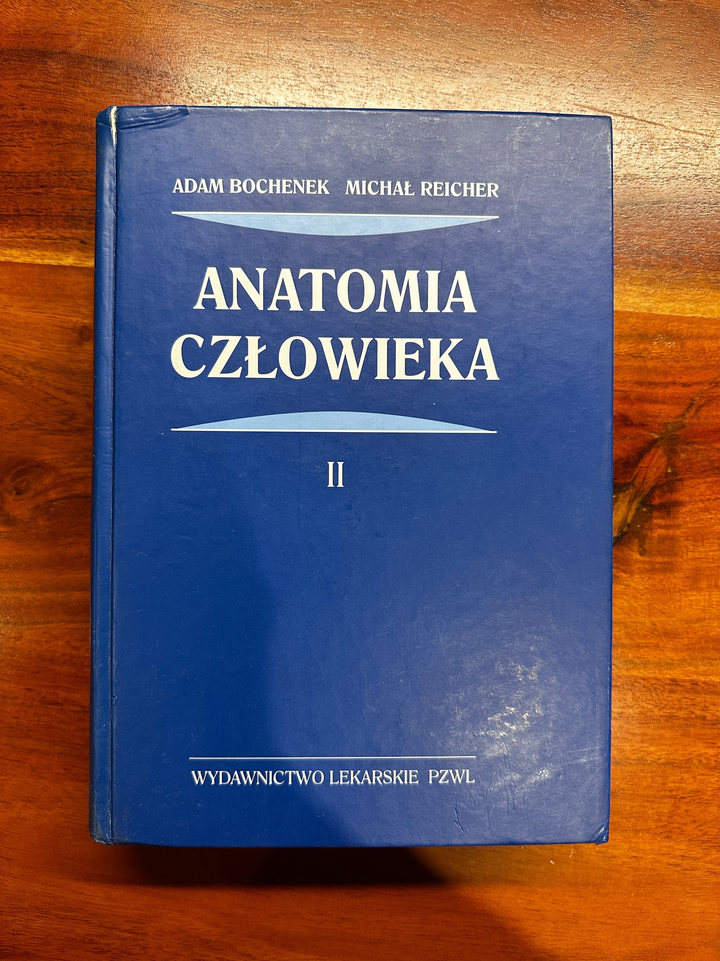 Anatomia człowieka. Tom 2 Adam Bochenek, Michał Reicher