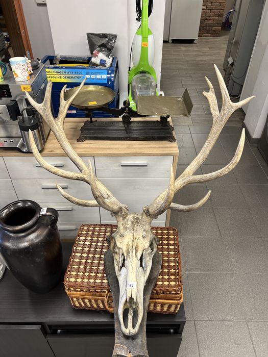 Poroże - możliwy transport