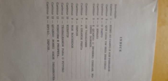 Ela Dançou um só Verão