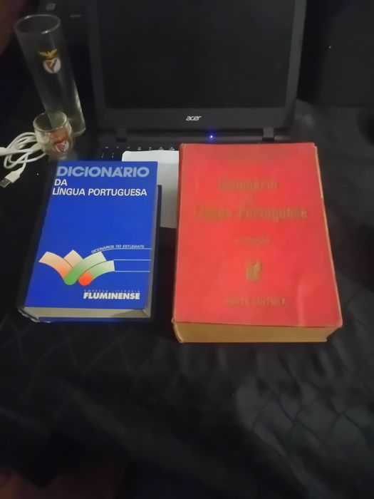 2 Dicionarios antigos em bom estado