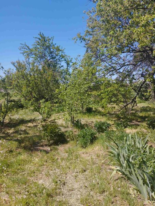 Продам будинок з великою ділянкою в Обухівці біля лісу