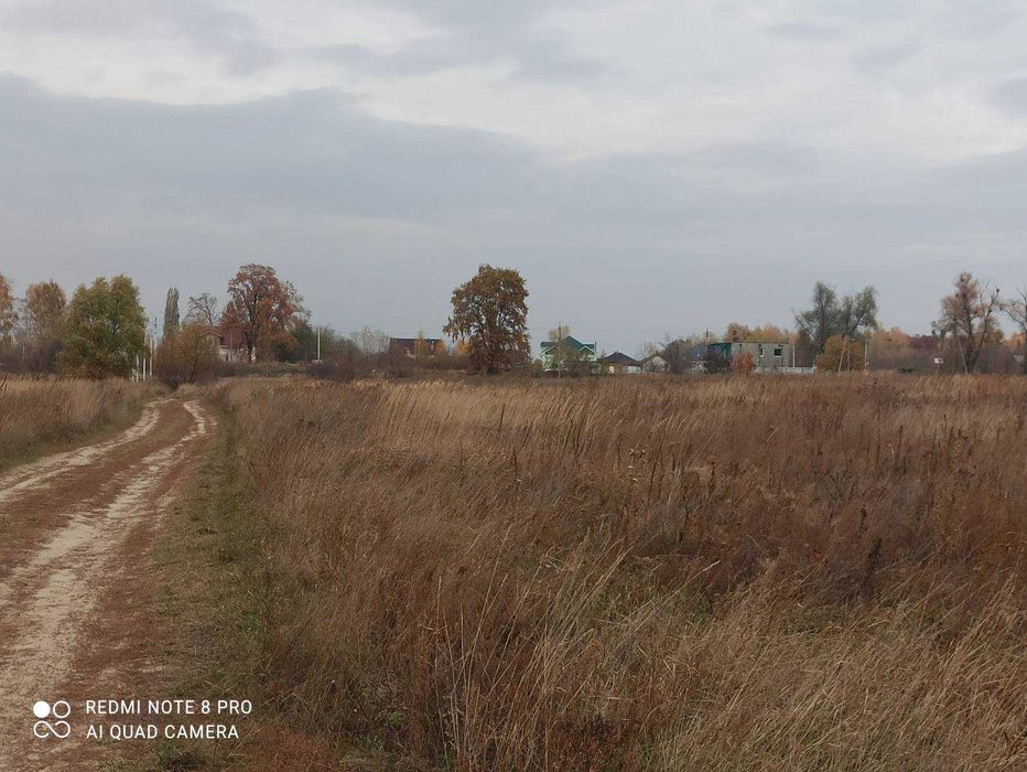 Продам пай  120 соток в Новых Петровцах