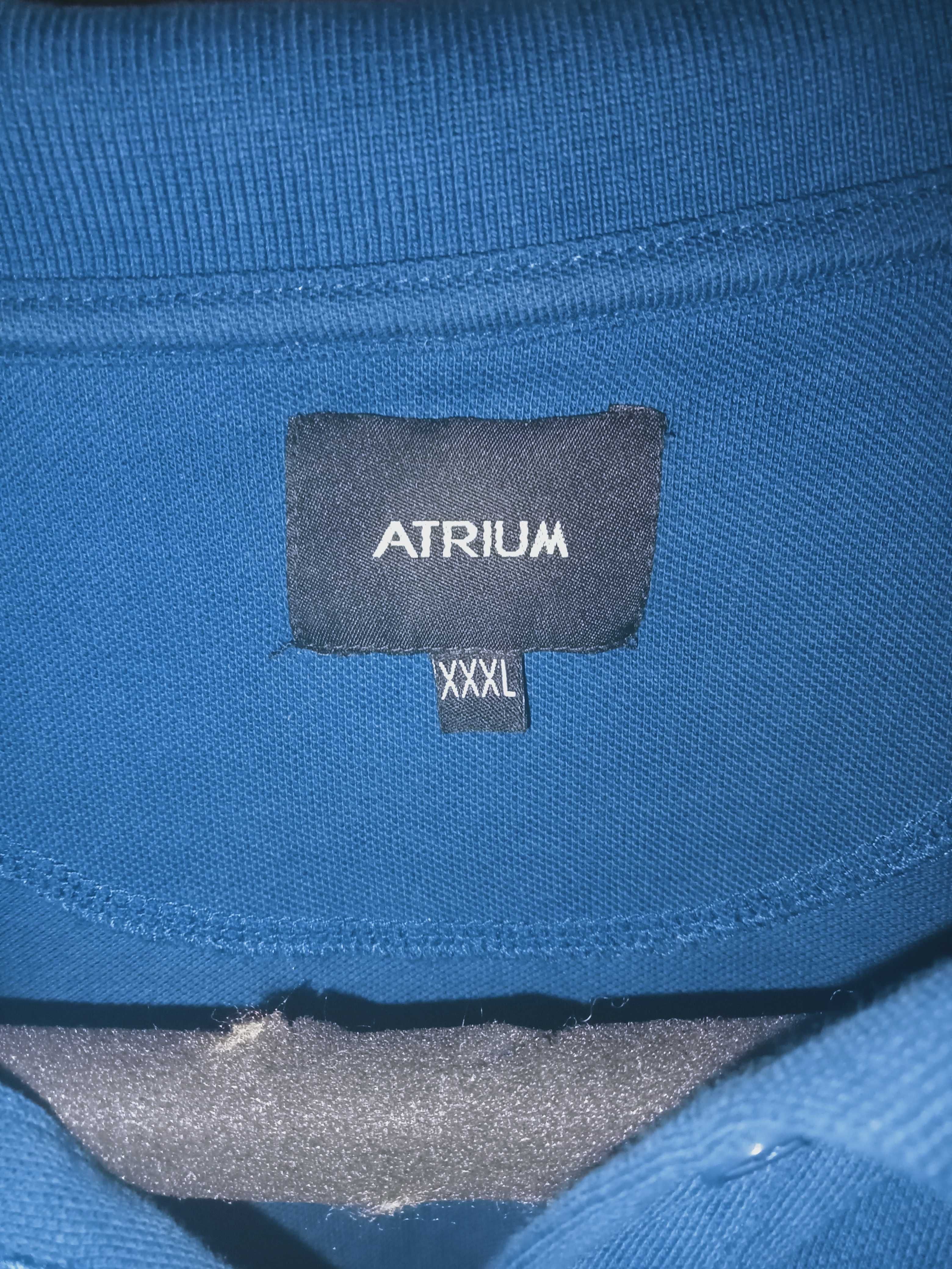 Polo Azul Da Marca : Atrium XXXL