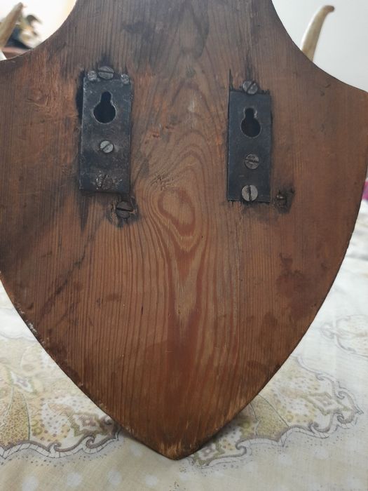 Рога оленя натуральные