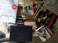 Lote de livros variados