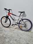 Bicicleta Adulto Orbea