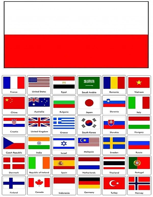 Translator Elektroniczny Tłumacz Mowy Menu Pl Aparat Online 134 Języki