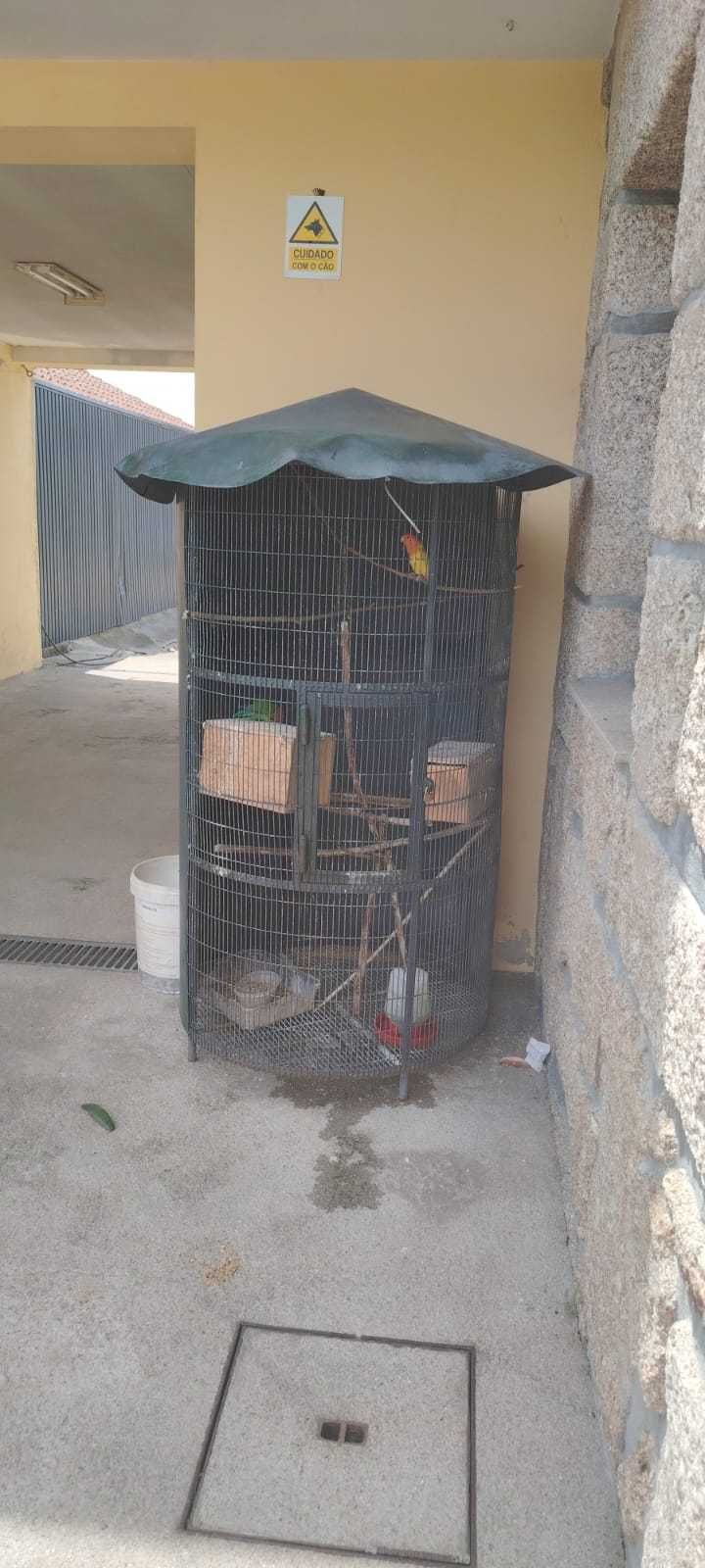 Vendo    viveiro