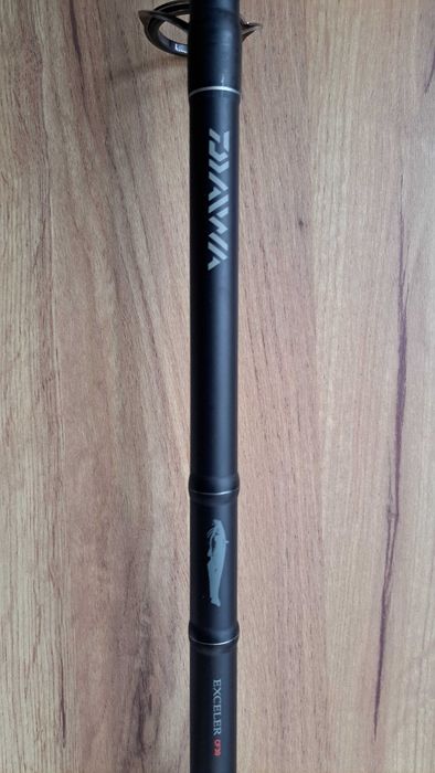 Wędka na dużego suma DAIWA EXCELER CF30