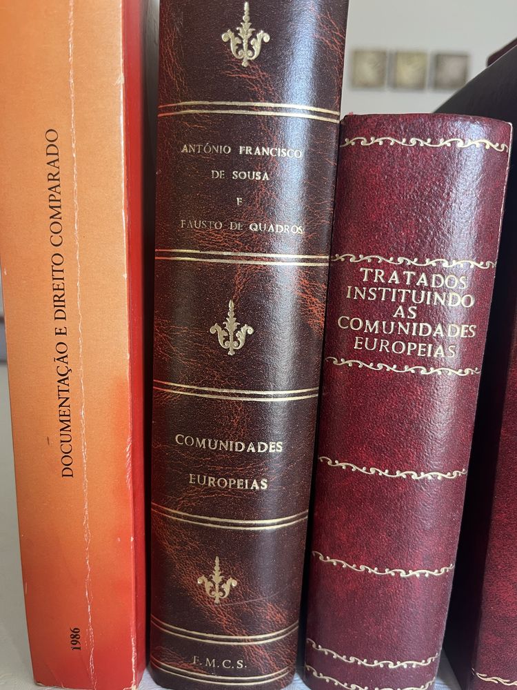 Livros de direito - europeu e constitucional