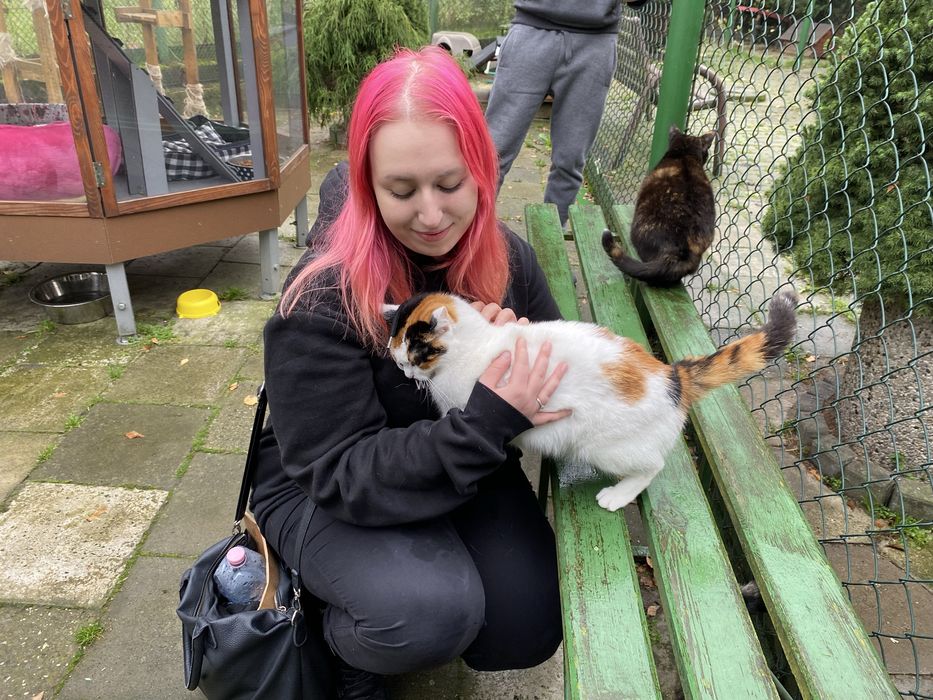 Petsitter, opiekun psów Trójmiasto