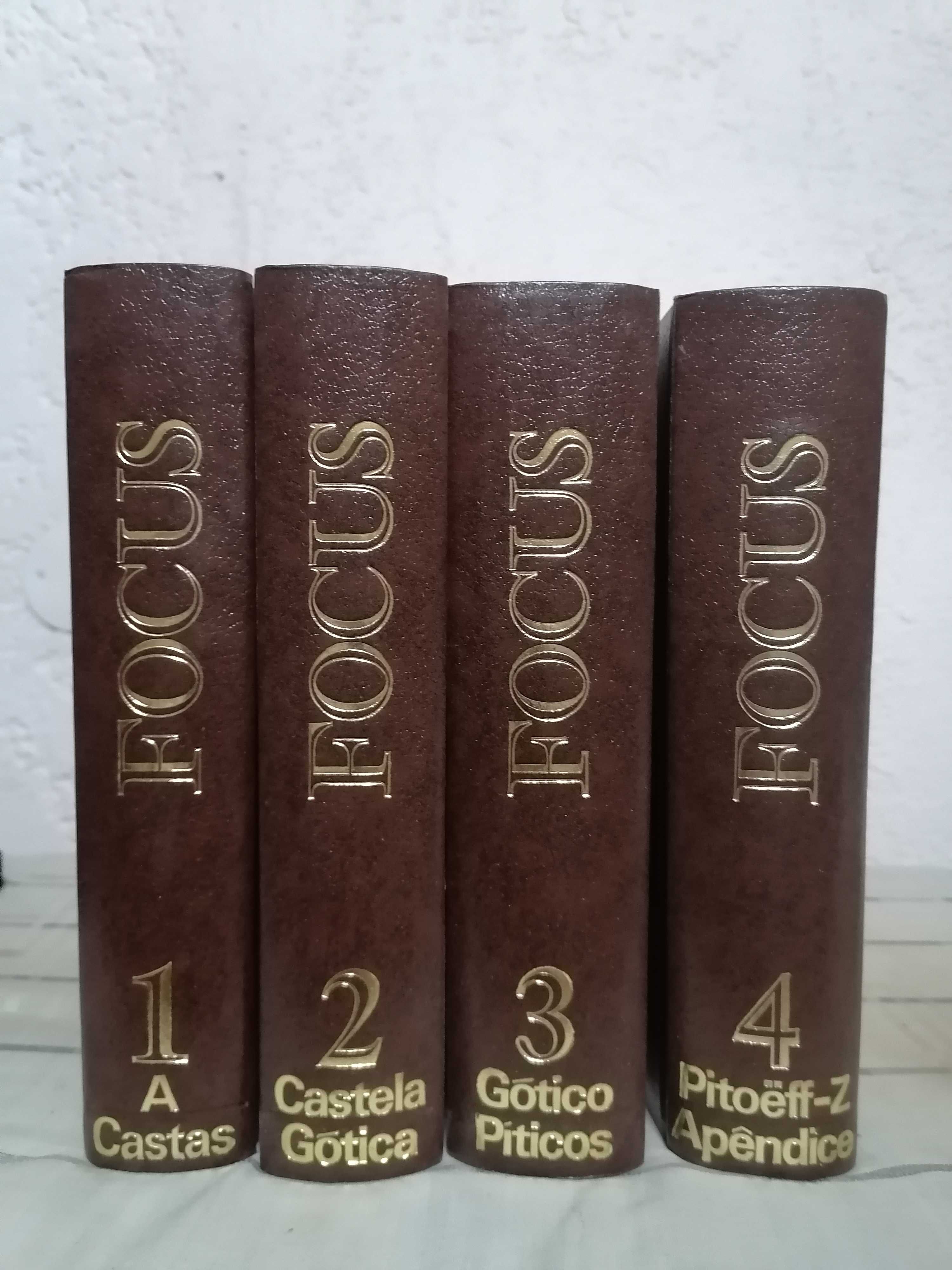 Enciclopédia Internacional Focus - 4 volumes