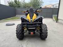 Brp renegade 1000