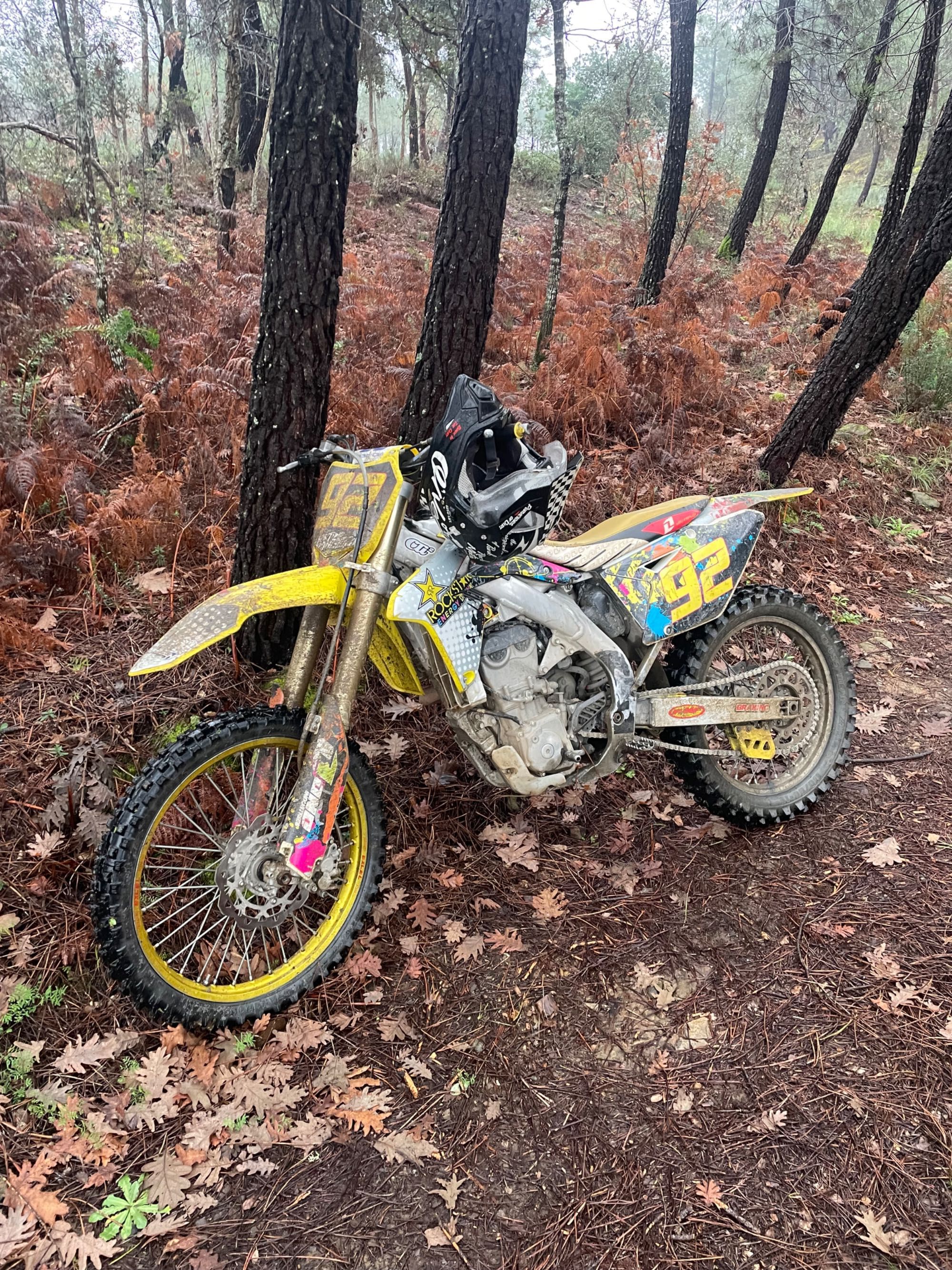 Suzuki rmz 450 injeção