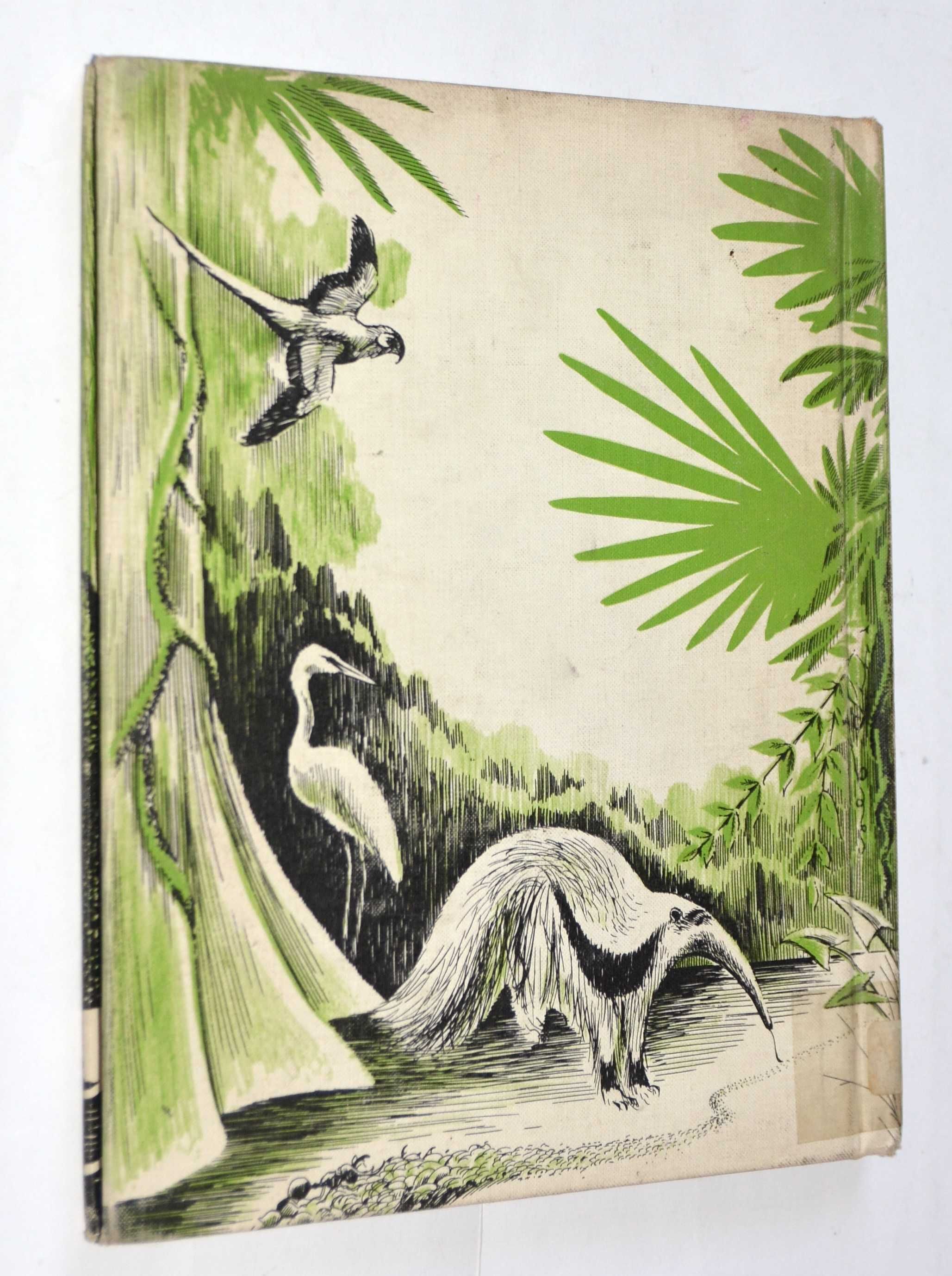 The First Book of The Jungle John Hoke (po angielsku)