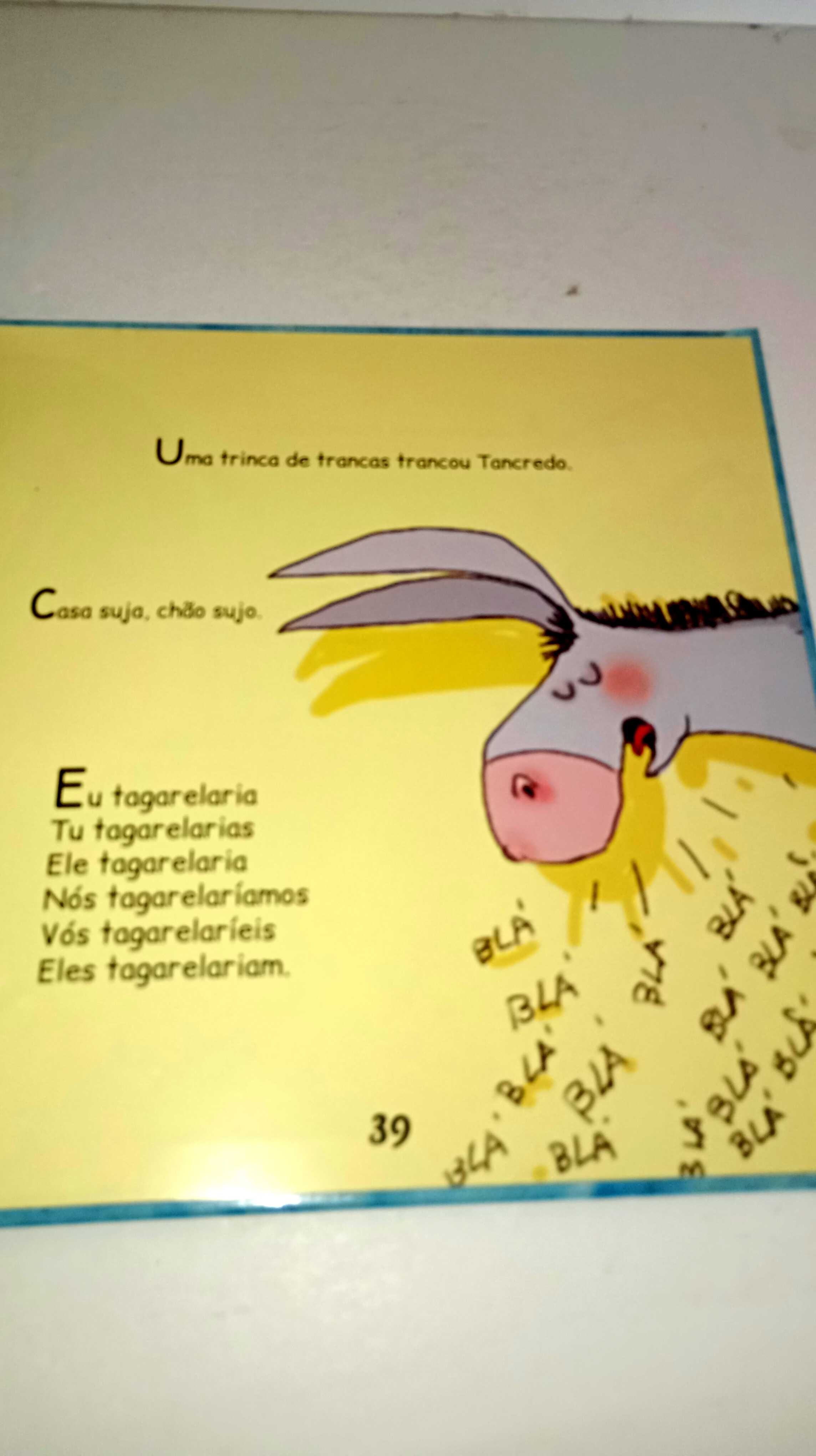 Diverte-te - Adivinhas, anedotas, provérbios, lengalengas, rimas ...