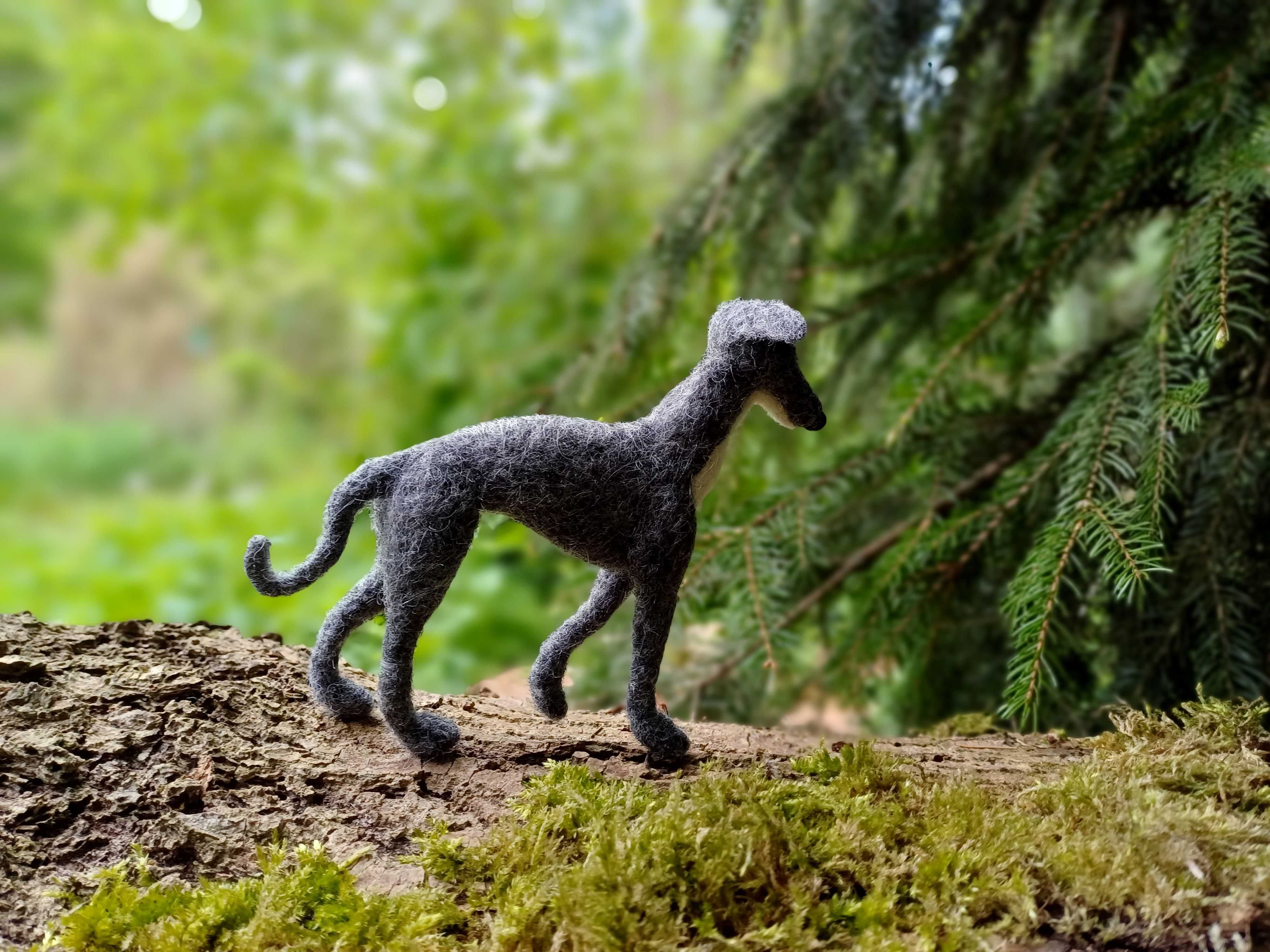 Whippet, chart włoski filcowana figurka psa