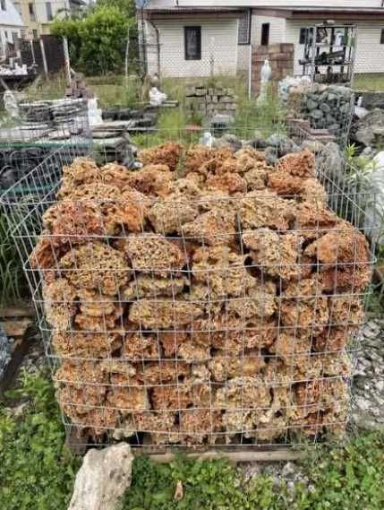 Koralowiec Red Spaghetti Kamień Naturalny do Akwarium Terrarium Skała