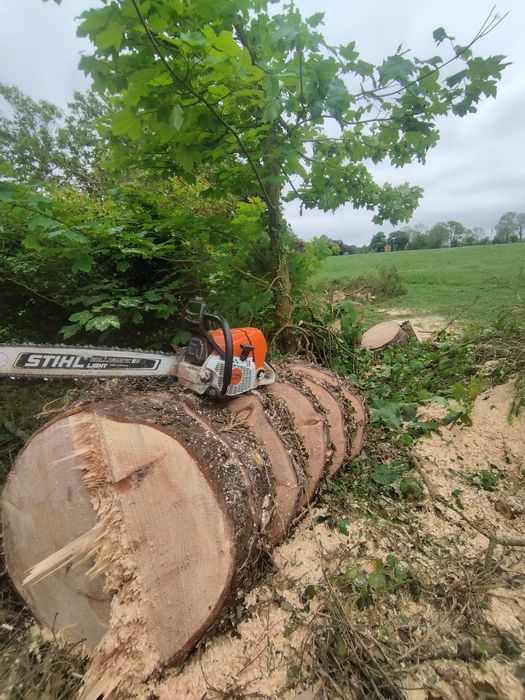 Wycinka drzew , pielęgnacja ogrodów ,koszenie traw