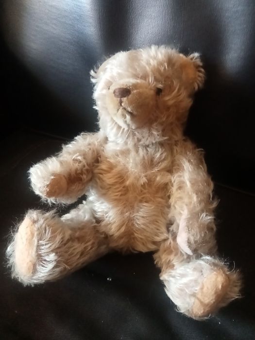 Miś Steiff trociniak twardy , z maszynka do mruczenia sprawna XXw 30cm