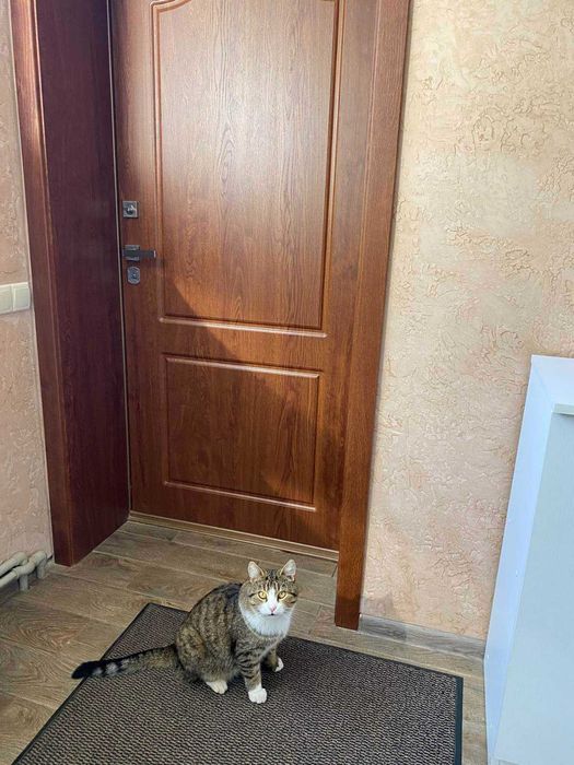 Ремонт реставрация металлических дверей установка ремонт замков