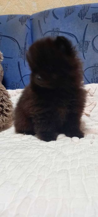 Хлопчик-мішка. З шоколадним підпалом.