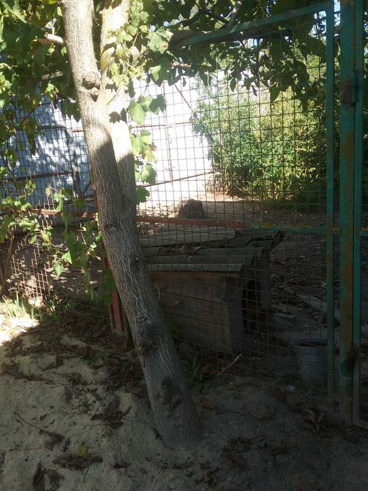 Металева огорожа з кал!ткою секц!!