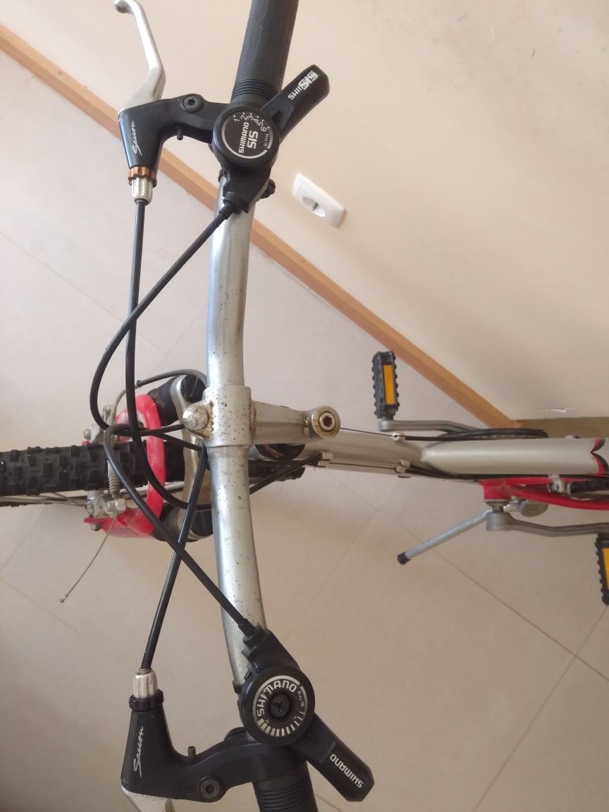 Bicicleta Astro Ladiv