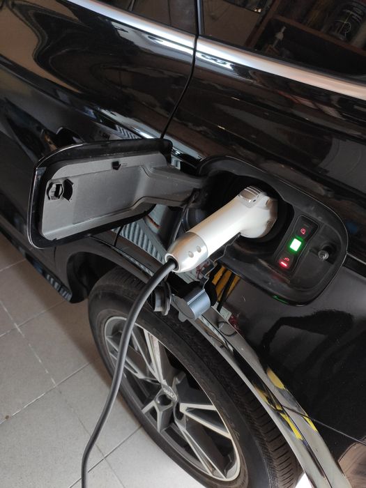 Зарядний пристрій для електромобілів  220v Type1 Feyree 3,5KW 16A