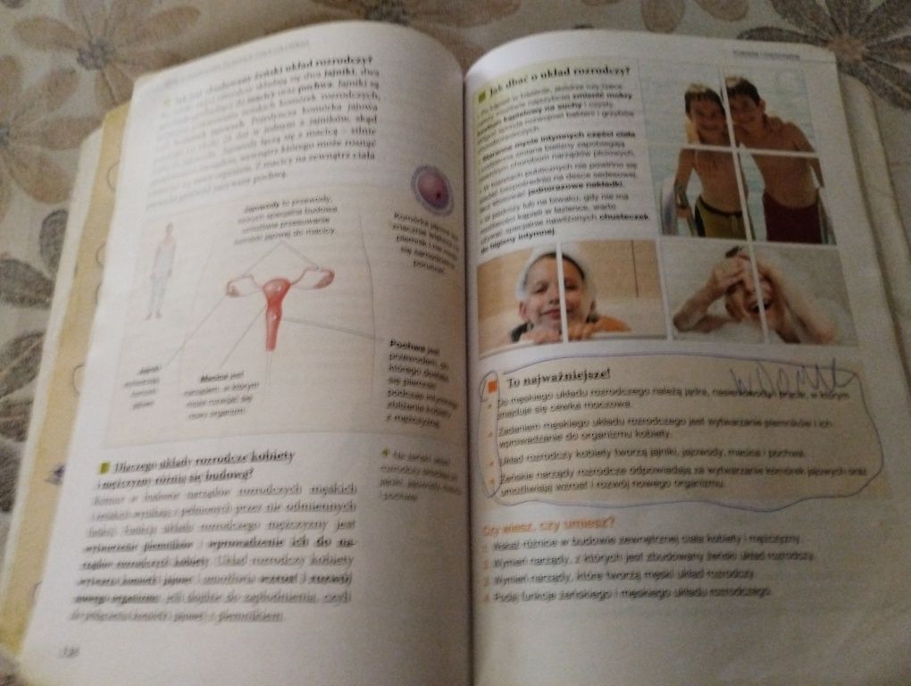 Tajemnice przyrody klasa 4 nowa era