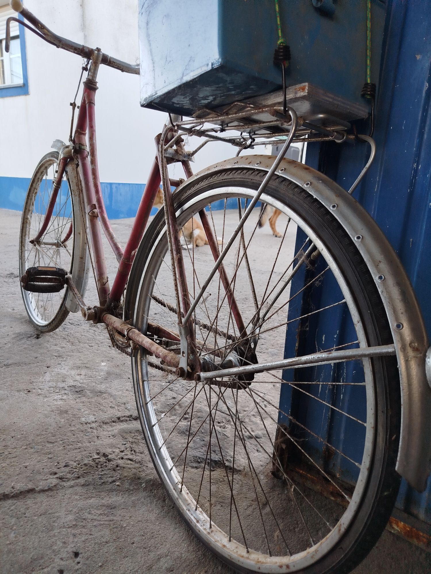 Bicicleta pasteleira antiga