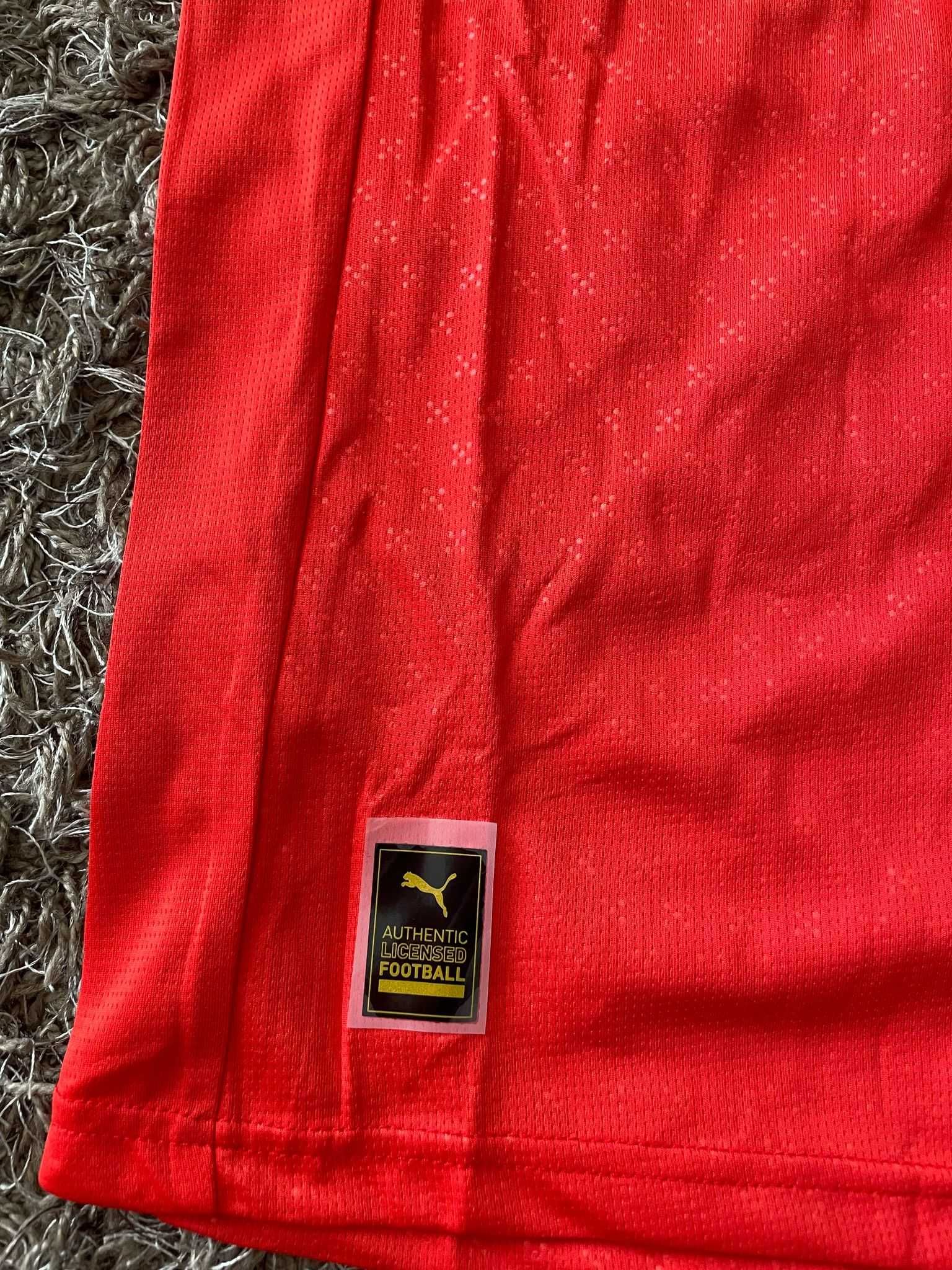 Camisola Portugal Futebol Puma