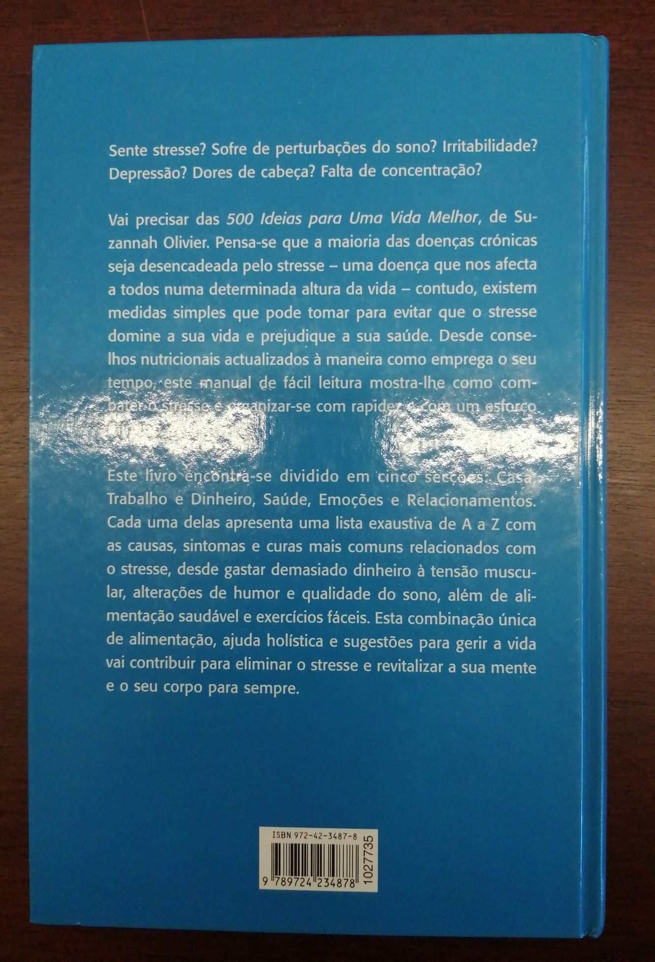 500 ideias para uma vida melhor - Suzannah Olivier