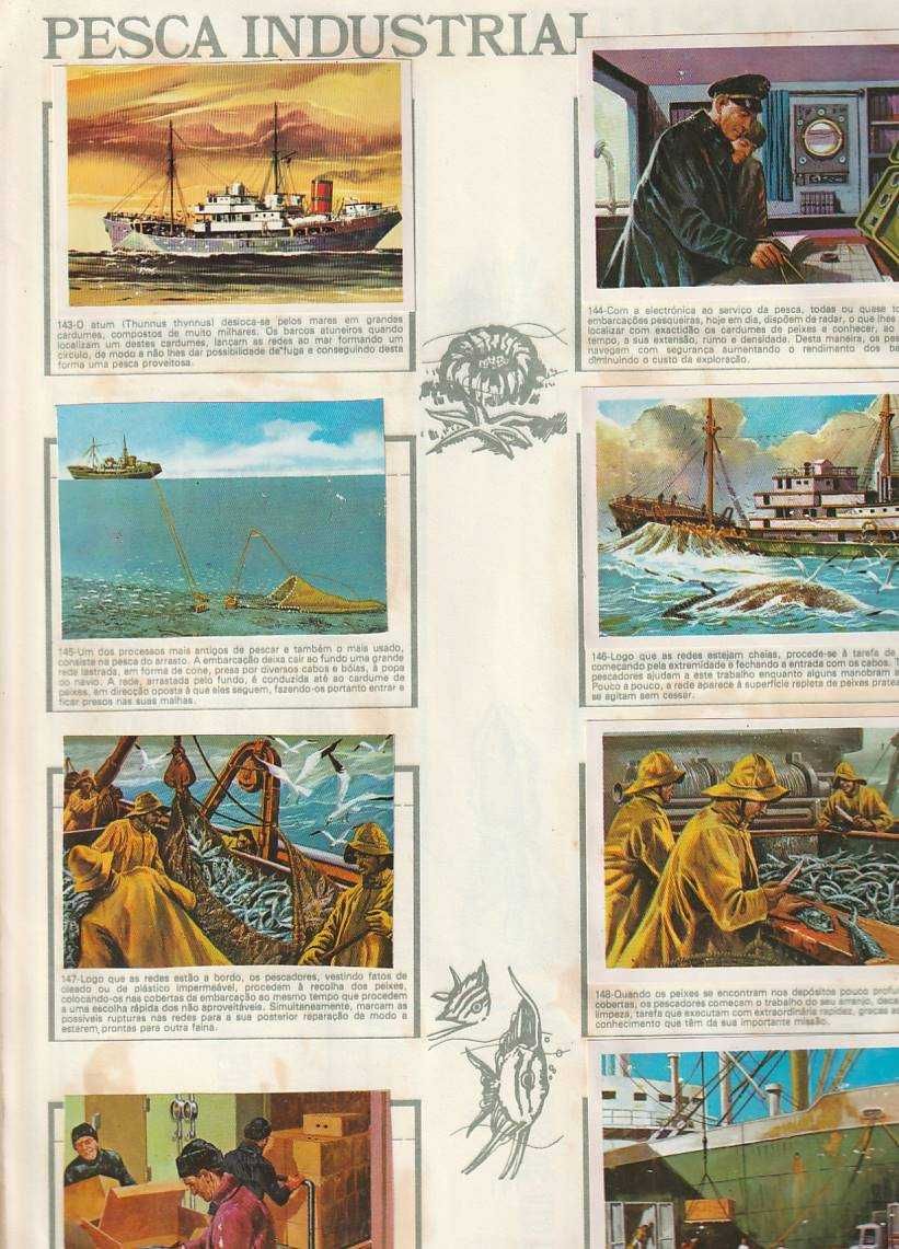 Mar fonte de vida-ULIFER - Caderneta completa com 260 cromos.