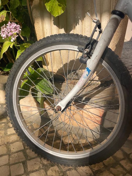 Bicicleta de criança - tamanho de roda 20’