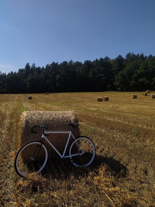 Rower fixed, single speed