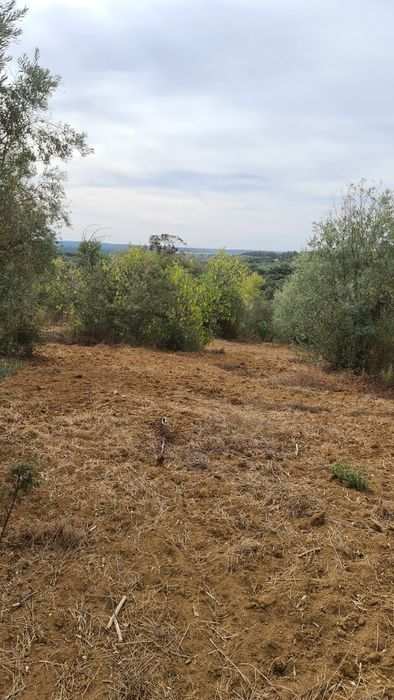 Terreno em valhascos Sardoal