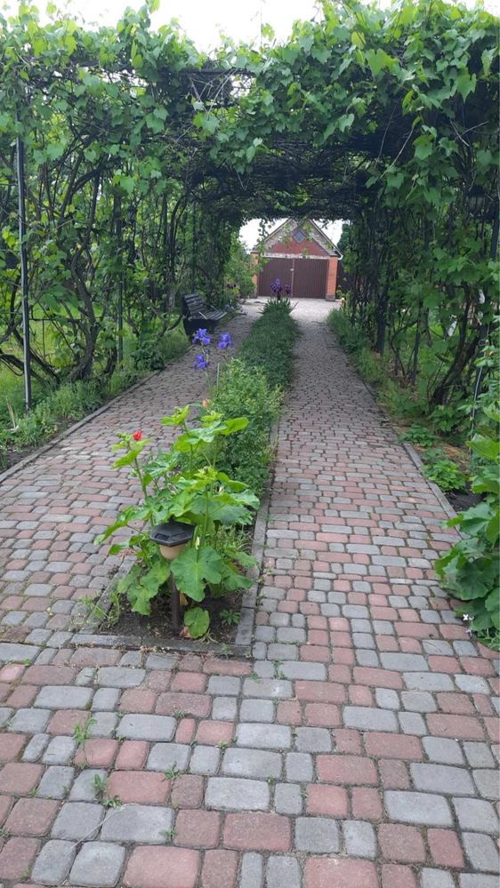 Продам будинок с.Іванків