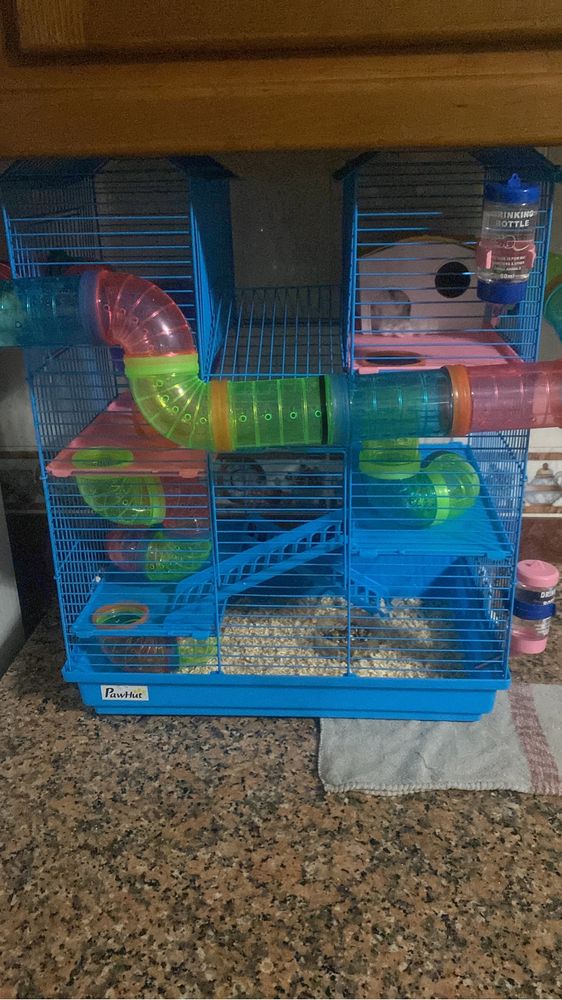 Vendo gaiola como novas