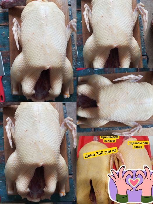 Продам домашнее мясо молодых индоуток и петушков