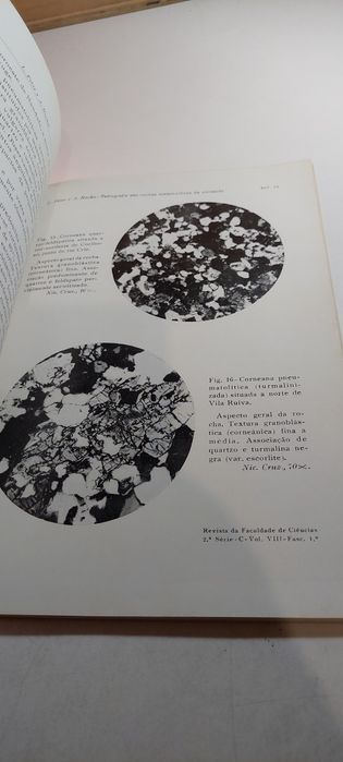 Petrografia das Rochas Metamórficas de Contacto da Região de Tondela